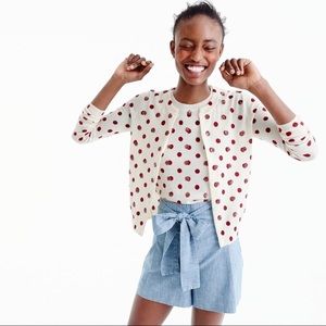 J. Crew Sequin Polka Dot Sweater Set